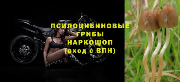 ГАЛЛЮЦИНОГЕННЫЕ ГРИБЫ Алексеевка