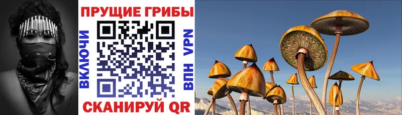 Псилоцибиновые грибы Cubensis  Неман 